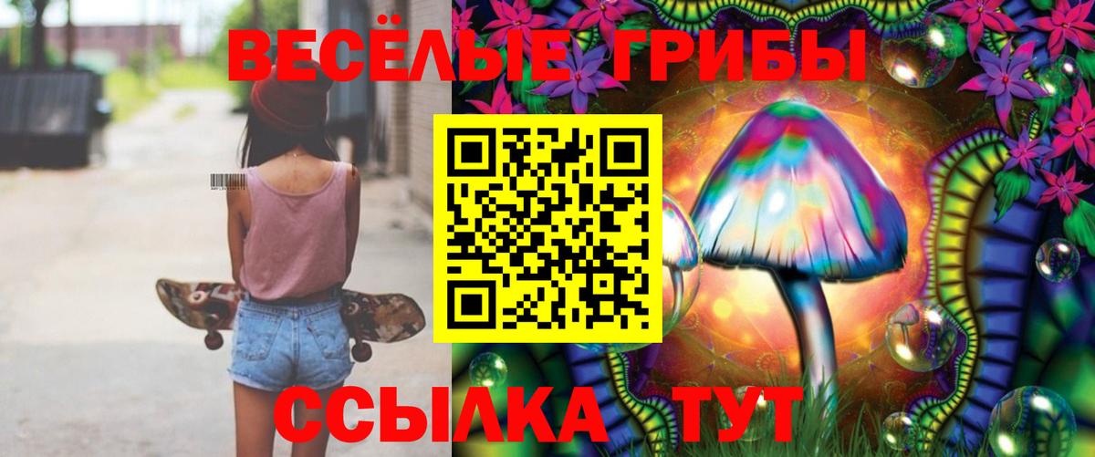 Псилоцибиновые грибы GOLDEN TEACHER Северск