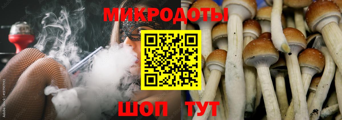 Галлюциногенные грибы мухоморы  Вход с VPN  Галлюциногенные грибы ЛСД  Северск 